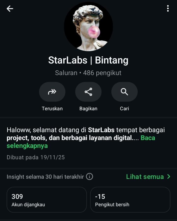 Saluran WhatsApp BintongKrakatau